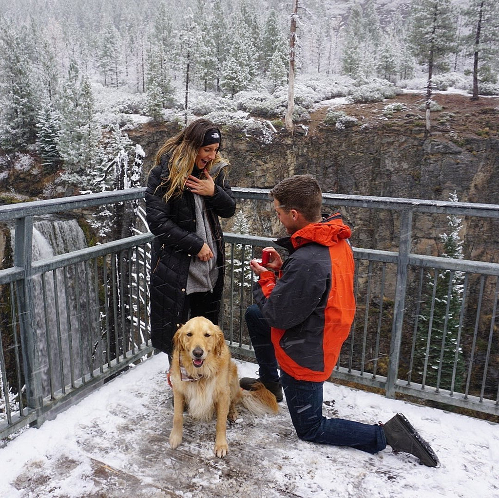 How to Plan the Perfect Proposal with an Engagement Ring